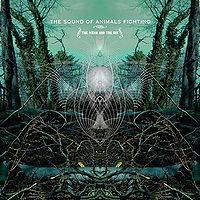 The Sound Of Animals Fighting : The Ocean and the Sun